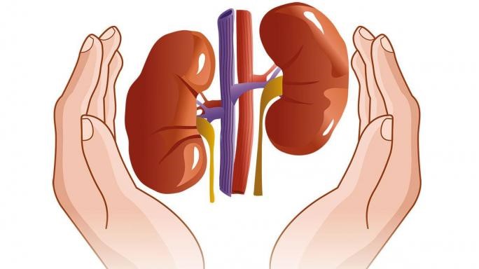 Effective Techniques for Maintaining Kidney Health During the Winter